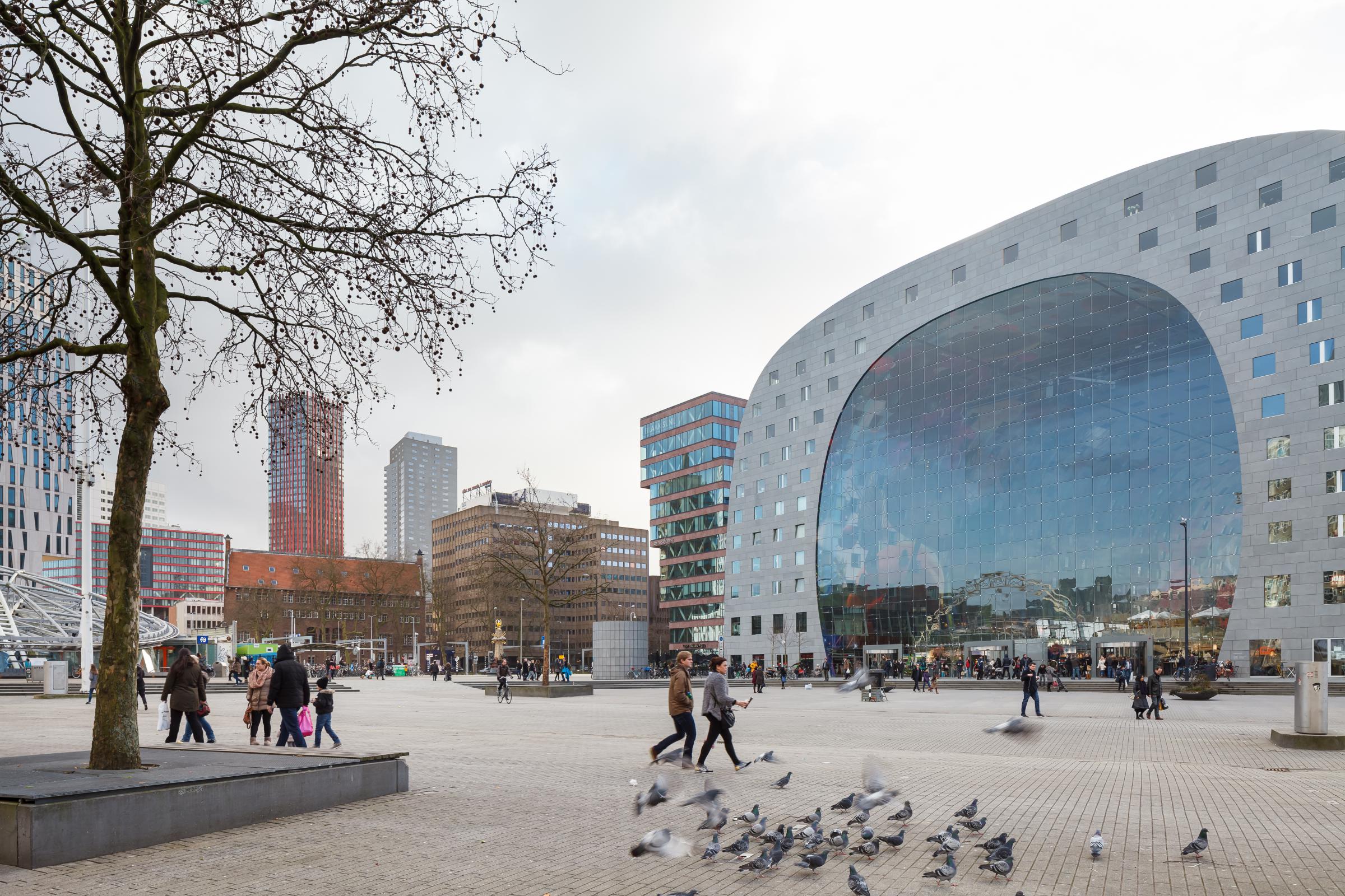 Photograph of Markthal Rotterdam, designed by MVRDV and located in Rotterdam, Netherlands